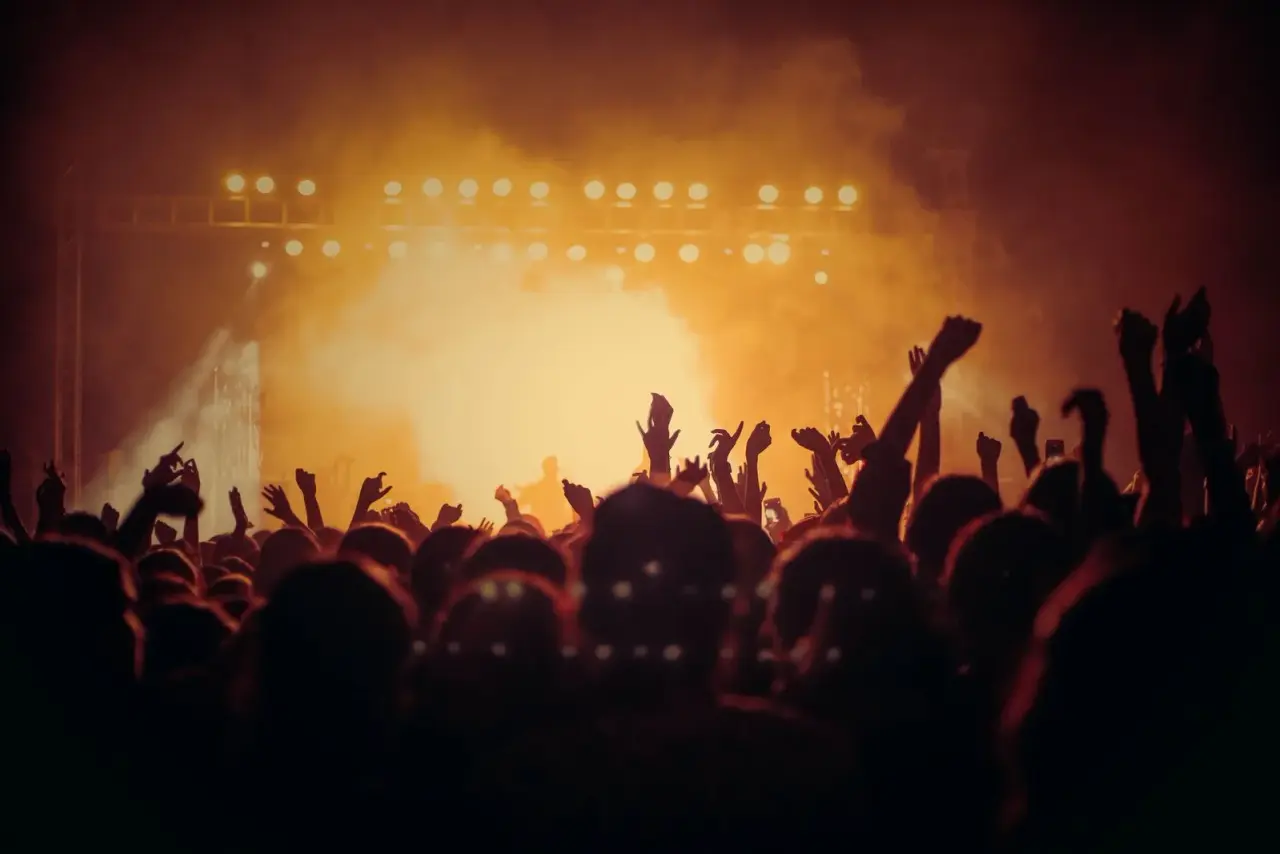 Crowd at a loud music concert with bright stage lights, a common source of noise-induced hearing loss